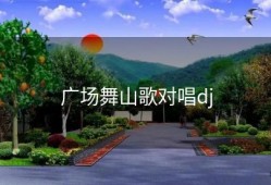 广场舞山歌对唱dj