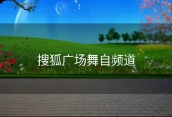 搜狐广场舞自频道