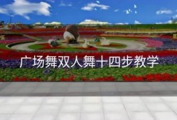 广场舞双人舞十四步教学