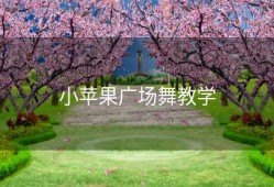 小苹果广场舞教学