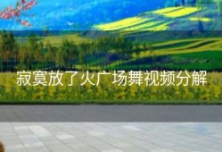 寂寞放了火广场舞视频分解