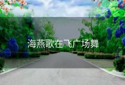海燕歌在飞广场舞
