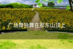 广场舞独舞在那东山顶上