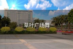 草叶广场舞