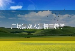 广场舞双人舞慢三教学