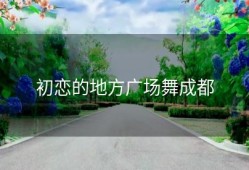 初恋的地方广场舞成都