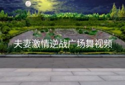 夫妻激情逆战广场舞视频