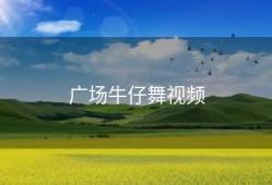 广场牛仔舞视频