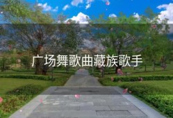 广场舞歌曲藏族歌手