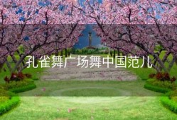 孔雀舞广场舞中国范儿