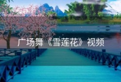 广场舞《雪莲花》视频
