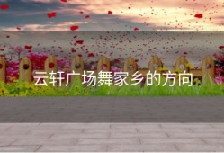 云轩广场舞家乡的方向