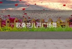 歌桑花儿开广场舞