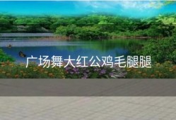 广场舞大红公鸡毛腿腿