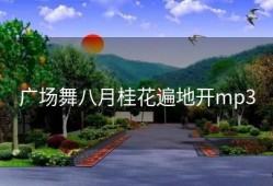 广场舞八月桂花遍地开mp3