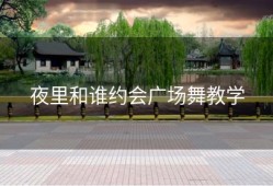 夜里和谁约会广场舞教学