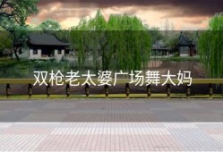 双枪老太婆广场舞大妈