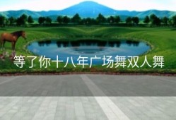 等了你十八年广场舞双人舞