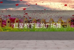 红星桥下面的广场舞