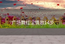 广场舞红尘情歌14步