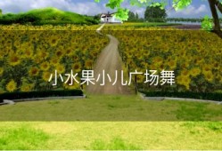 小水果小儿广场舞