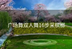 广场舞双人舞16步采槟榔