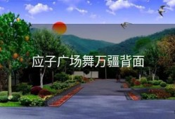 应子广场舞万疆背面