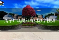 兔子广场舞红枣树教学视频