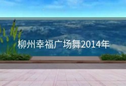 柳州幸福广场舞2014年