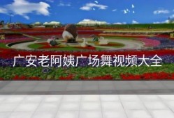 广安老阿姨广场舞视频大全