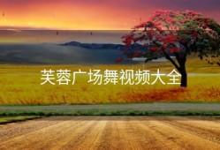 芙蓉广场舞视频大全