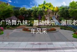 广场舞九妺：舞动快乐，展现老年风采