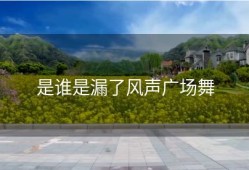 是谁是漏了风声广场舞