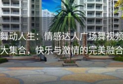 舞动人生：情感达人广场舞视频大集合，快乐与激情的完美融合