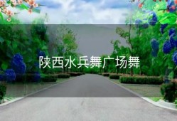 陕西水兵舞广场舞