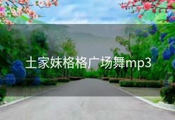 土家妹格格广场舞mp3