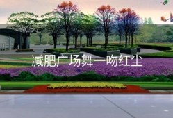 减肥广场舞一吻红尘