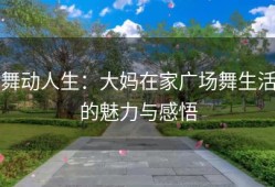 舞动人生：大妈在家广场舞生活的魅力与感悟
