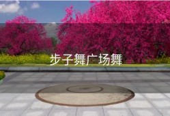 步子舞广场舞