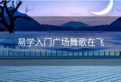 易学入门广场舞歌在飞