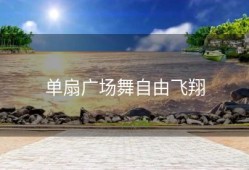 单扇广场舞自由飞翔