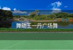 舞动王一丹广场舞