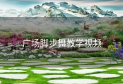 广场脚步舞教学视频