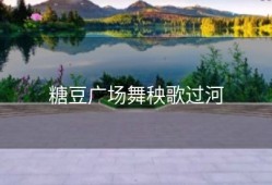 糖豆广场舞秧歌过河