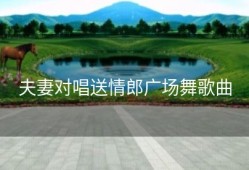 夫妻对唱送情郎广场舞歌曲