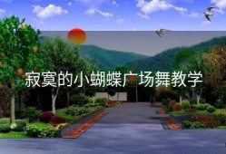 寂寞的小蝴蝶广场舞教学