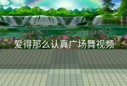 爱得那么认真广场舞视频