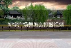 初学广场舞怎么打鼓视频