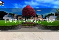 我爱你深深的爱着你广场舞