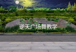 逆天广场舞教学